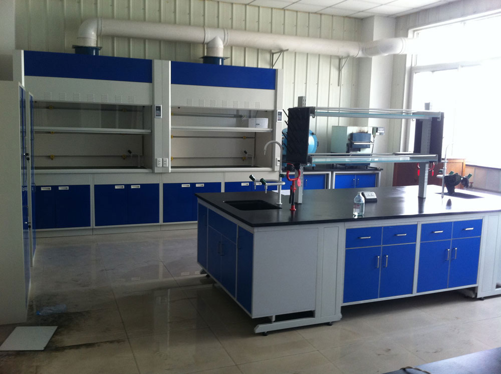 實(shí)驗(yàn)室通風(fēng)柜（標(biāo)準(zhǔn)型、補(bǔ)風(fēng)型、聯(lián)體型、桌上型、落地式、不銹鋼通風(fēng)柜）